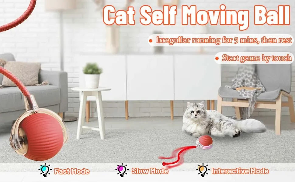 Interactive Ball Toy