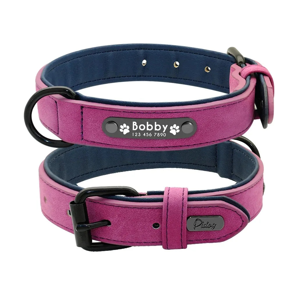 Custom Personalized Dog Collars