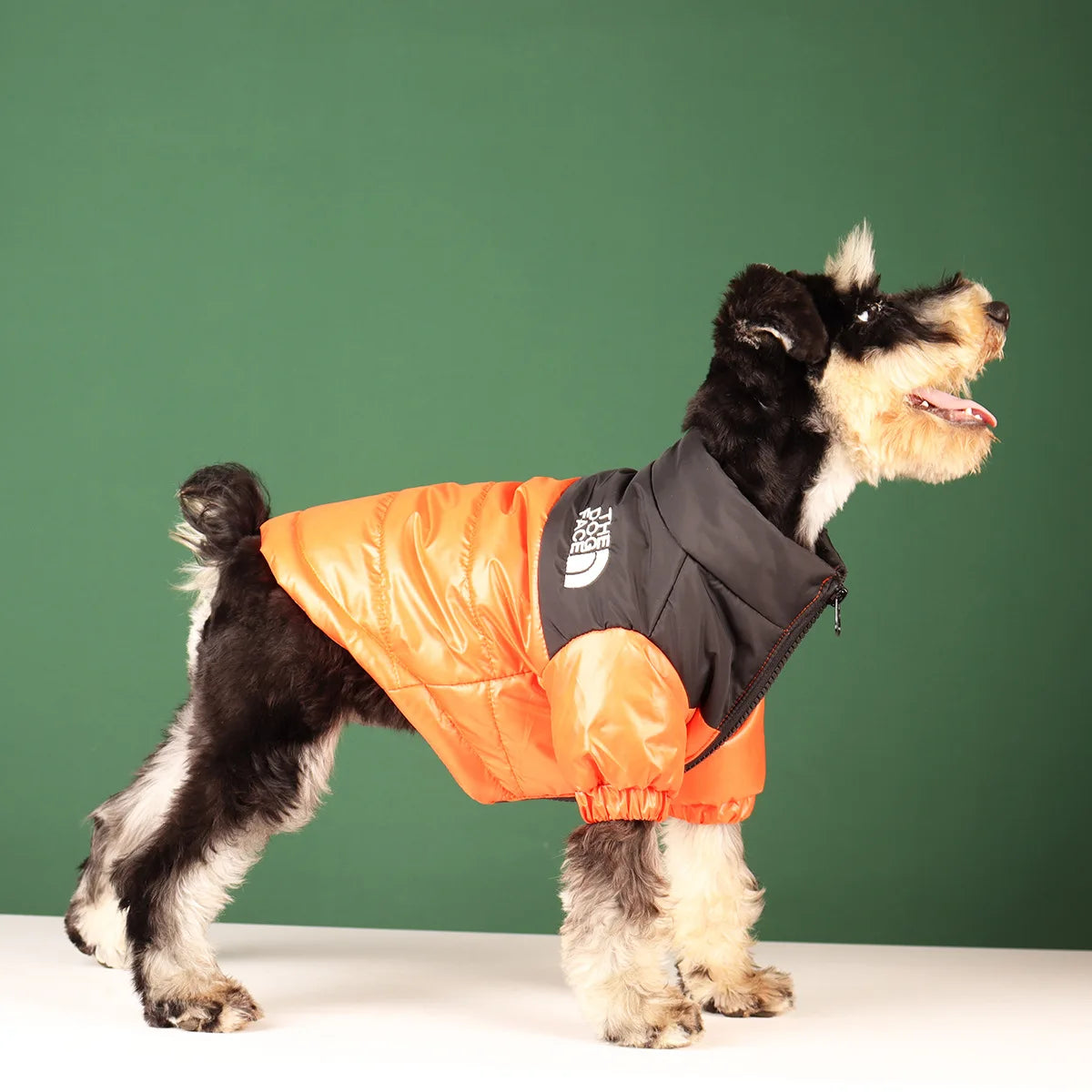 Windproof Pet Jacket