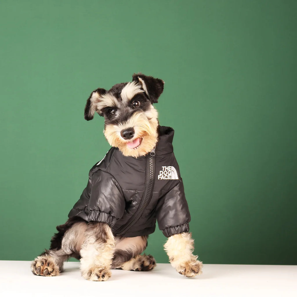 Windproof Pet Jacket