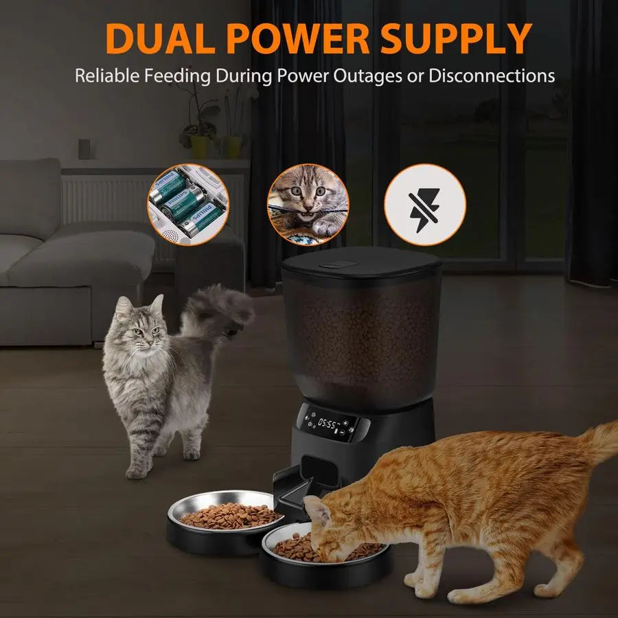 Cat Feeder For Two Cats