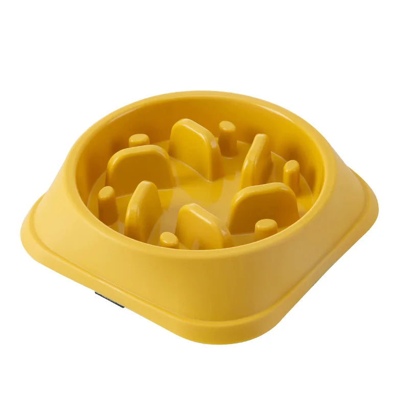 Slow Feeding Pet Bowl