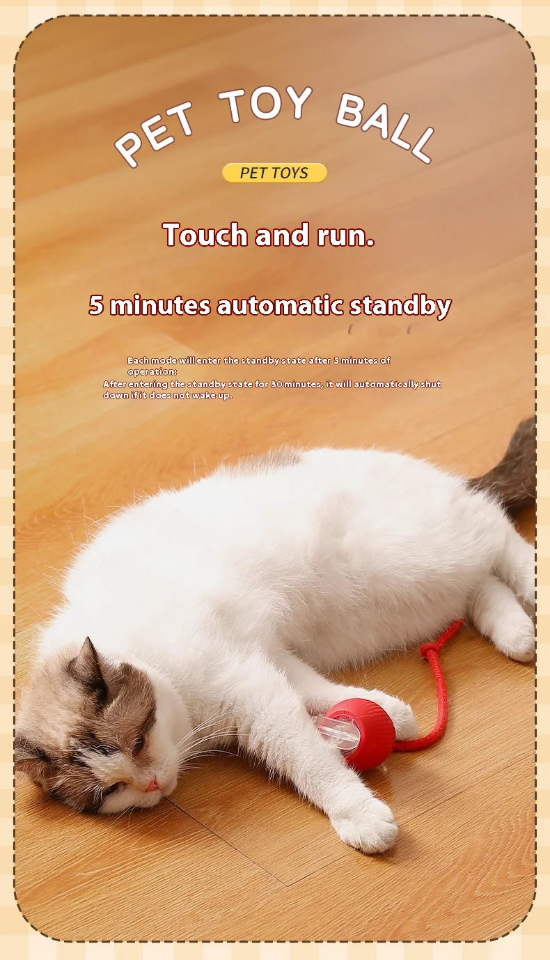 2Pcs Automatic & Rechargeable Cat Toy