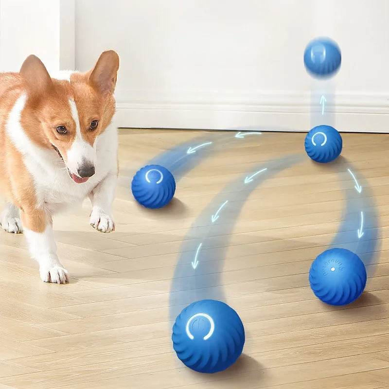 Automatic Moving Ball Dog Toy