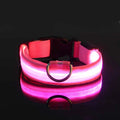 Glow In The Dark Pet  Collar