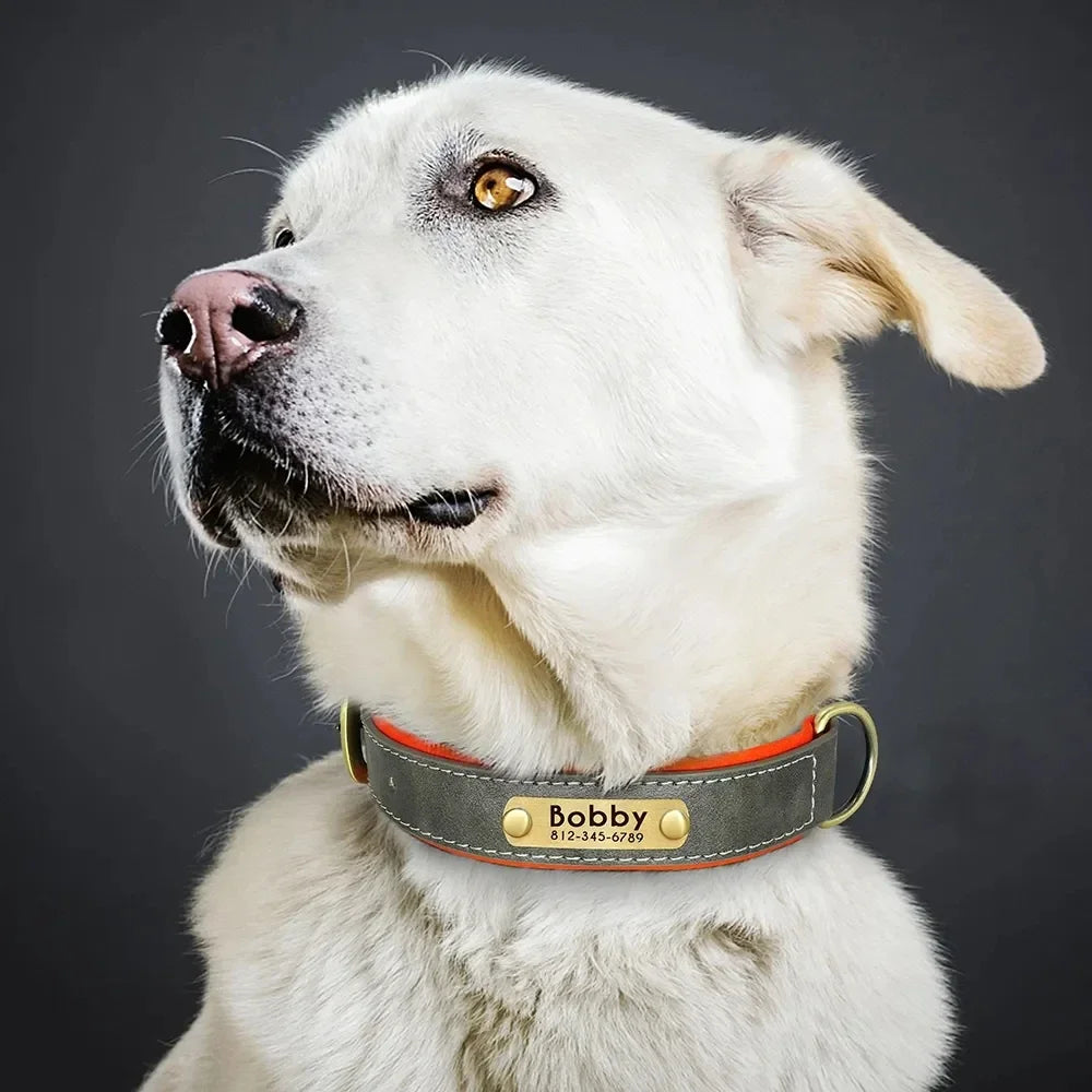 Personalized Customized Leather ID Collar