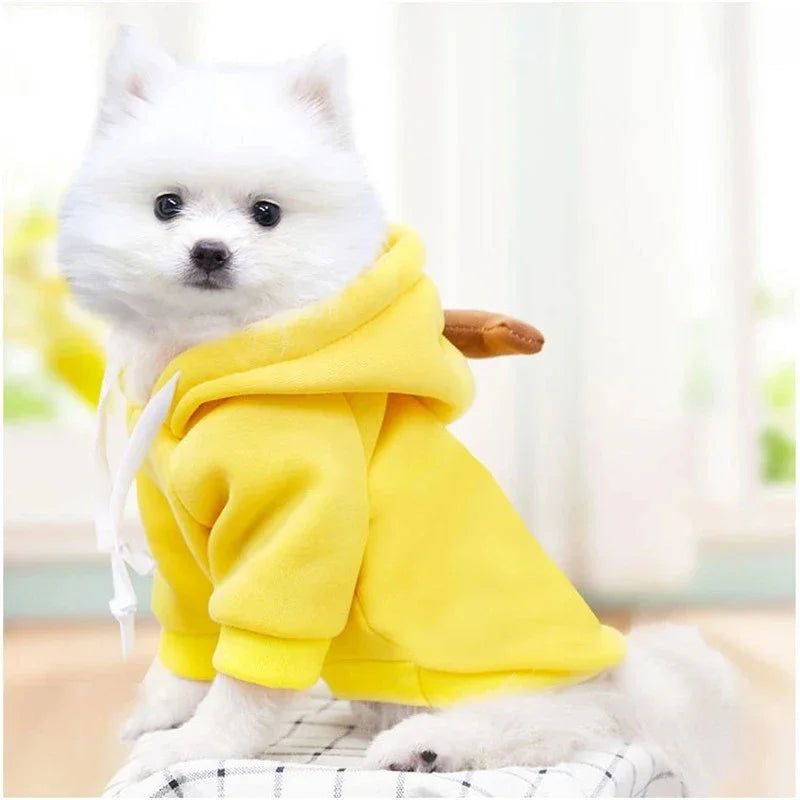 Cute Dog & Cat Costumes
