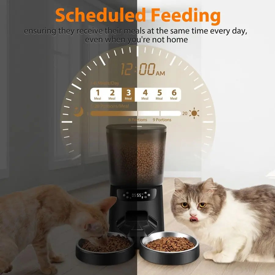 Cat Feeder For Two Cats
