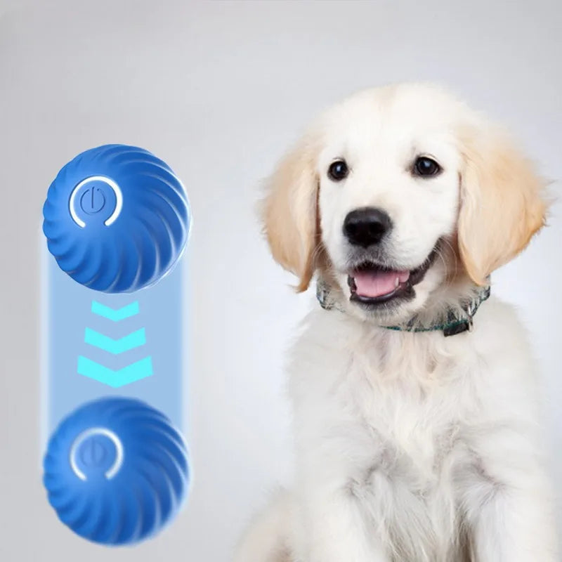 Automatic Moving Ball Dog Toy
