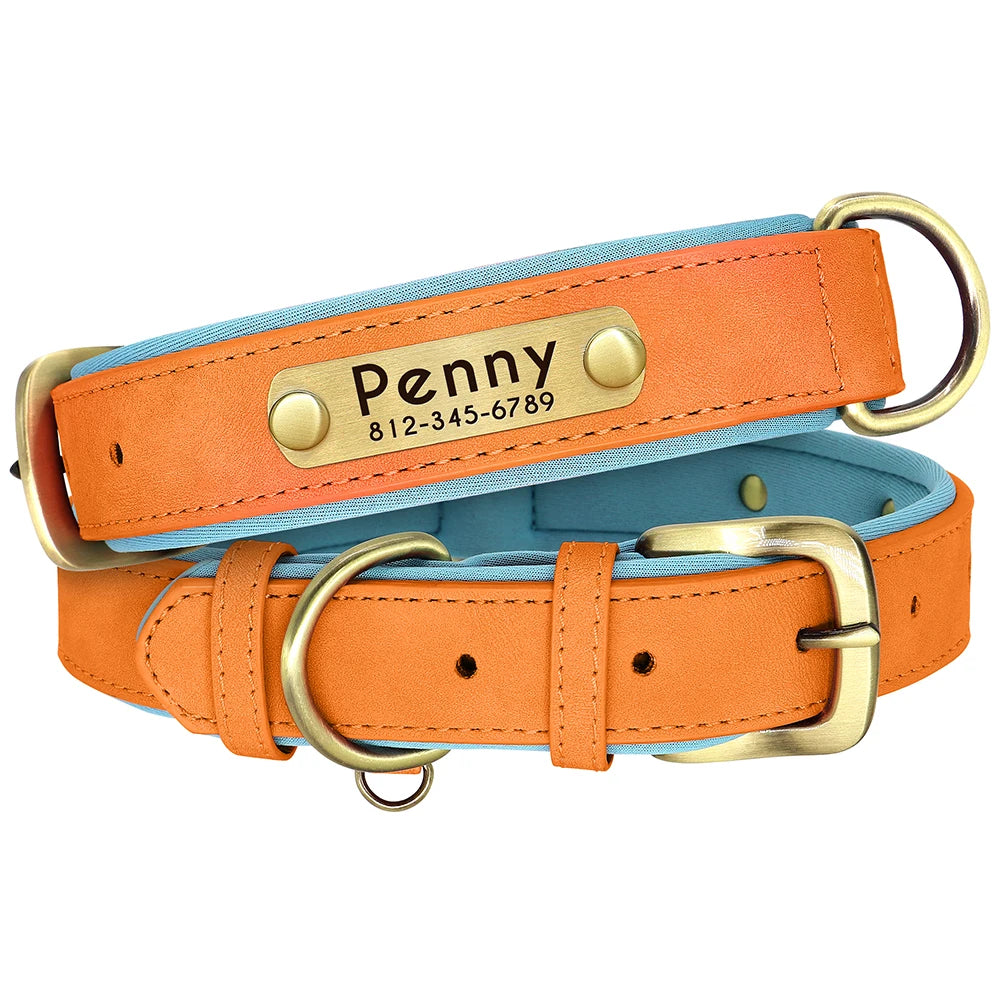 Personalized Leather Dog Collar