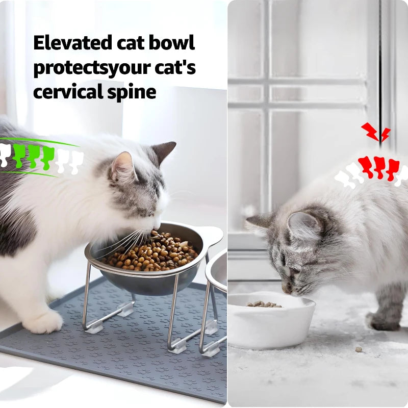 Stainless Steel Raised Pet Bowl