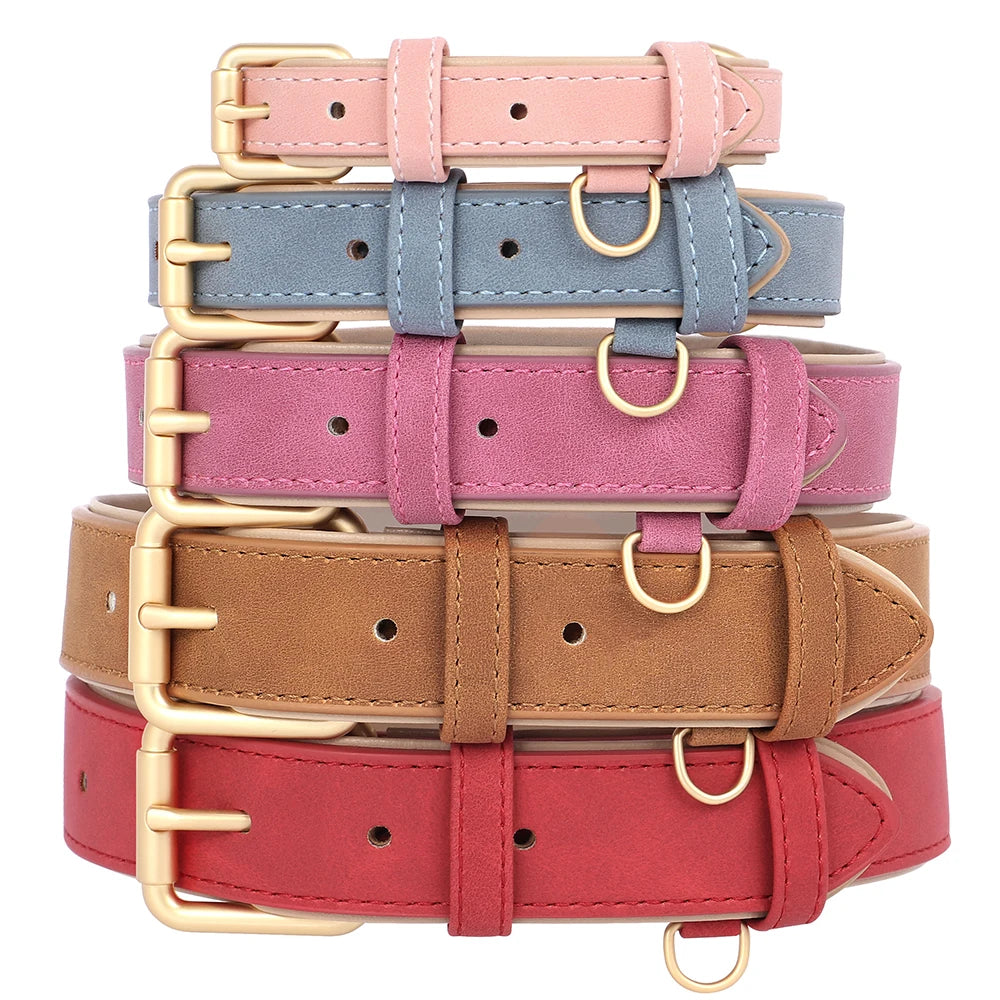 Dog Collar And Leash Set