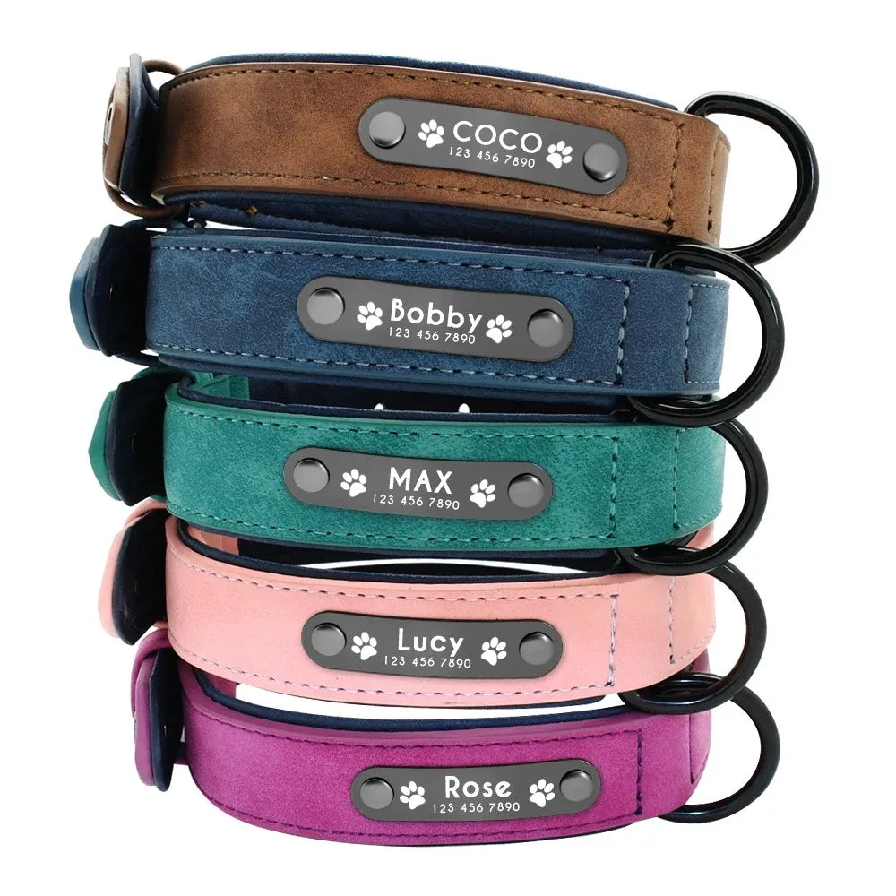 Custom Personalized Dog Collars