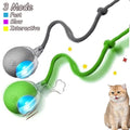 2Pcs Automatic & Rechargeable Cat Toy
