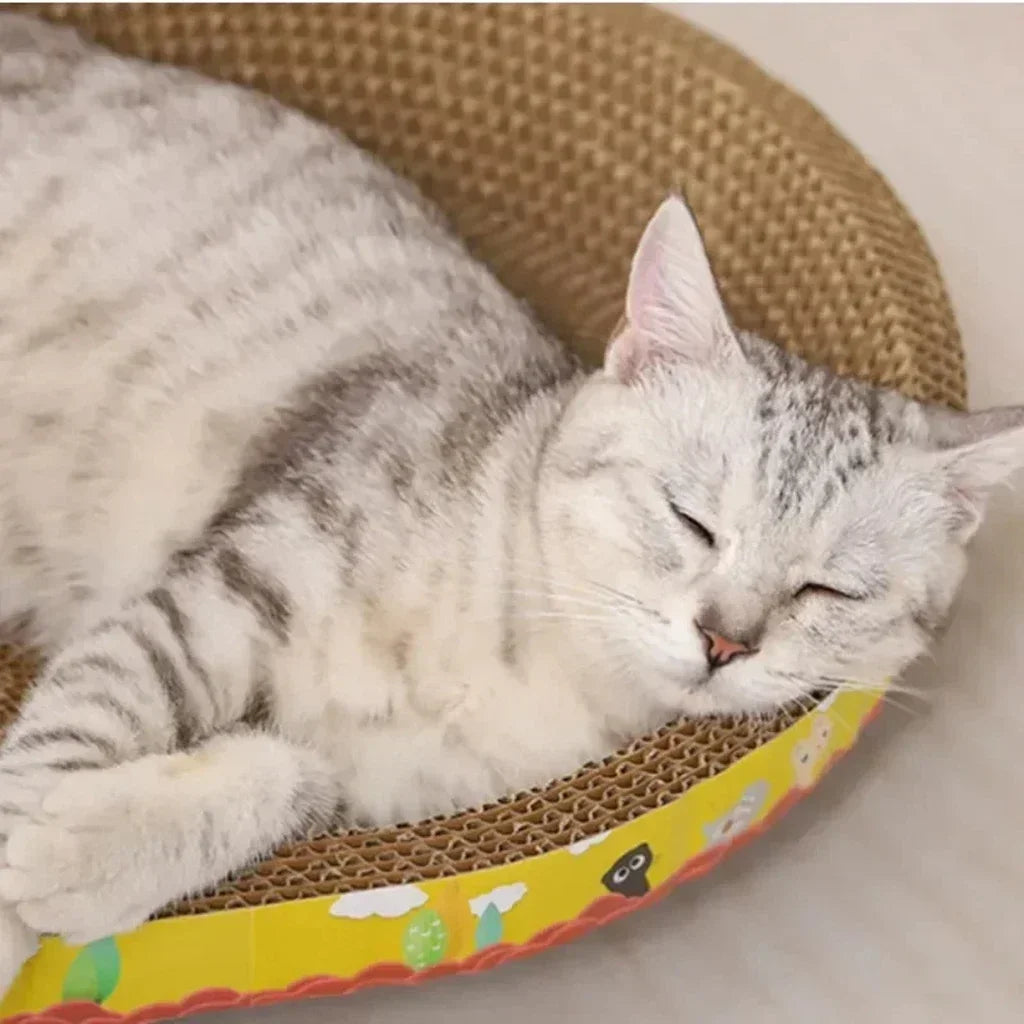 Cat Scratching Furniture Bed