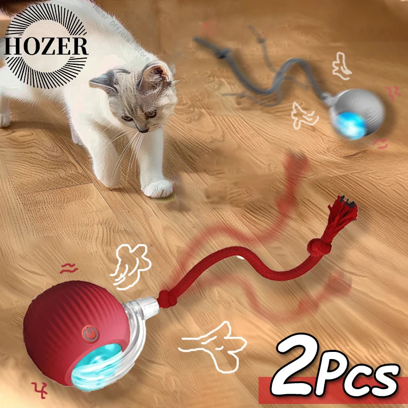 2Pcs Automatic & Rechargeable Cat Toy