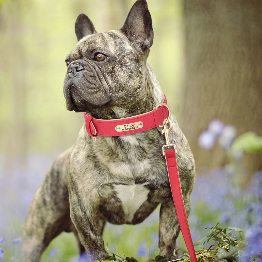 Dog Collar And Leash Set
