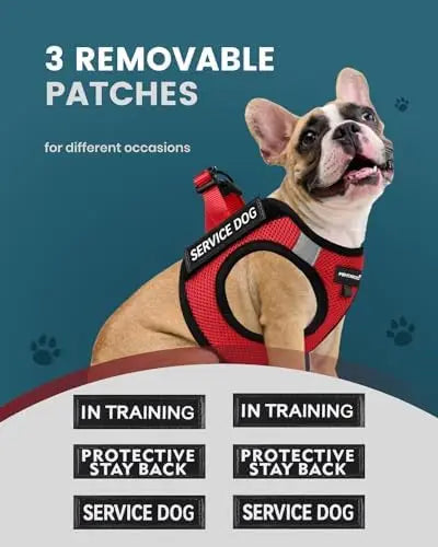 Service Dog Vest