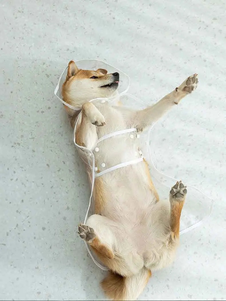 Transparent Raincoat With Hat