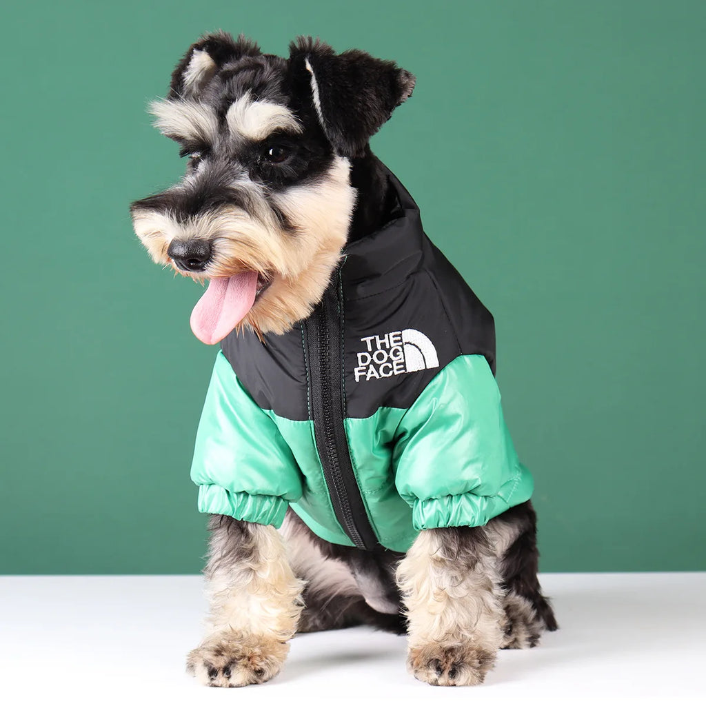 Windproof Pet Jacket