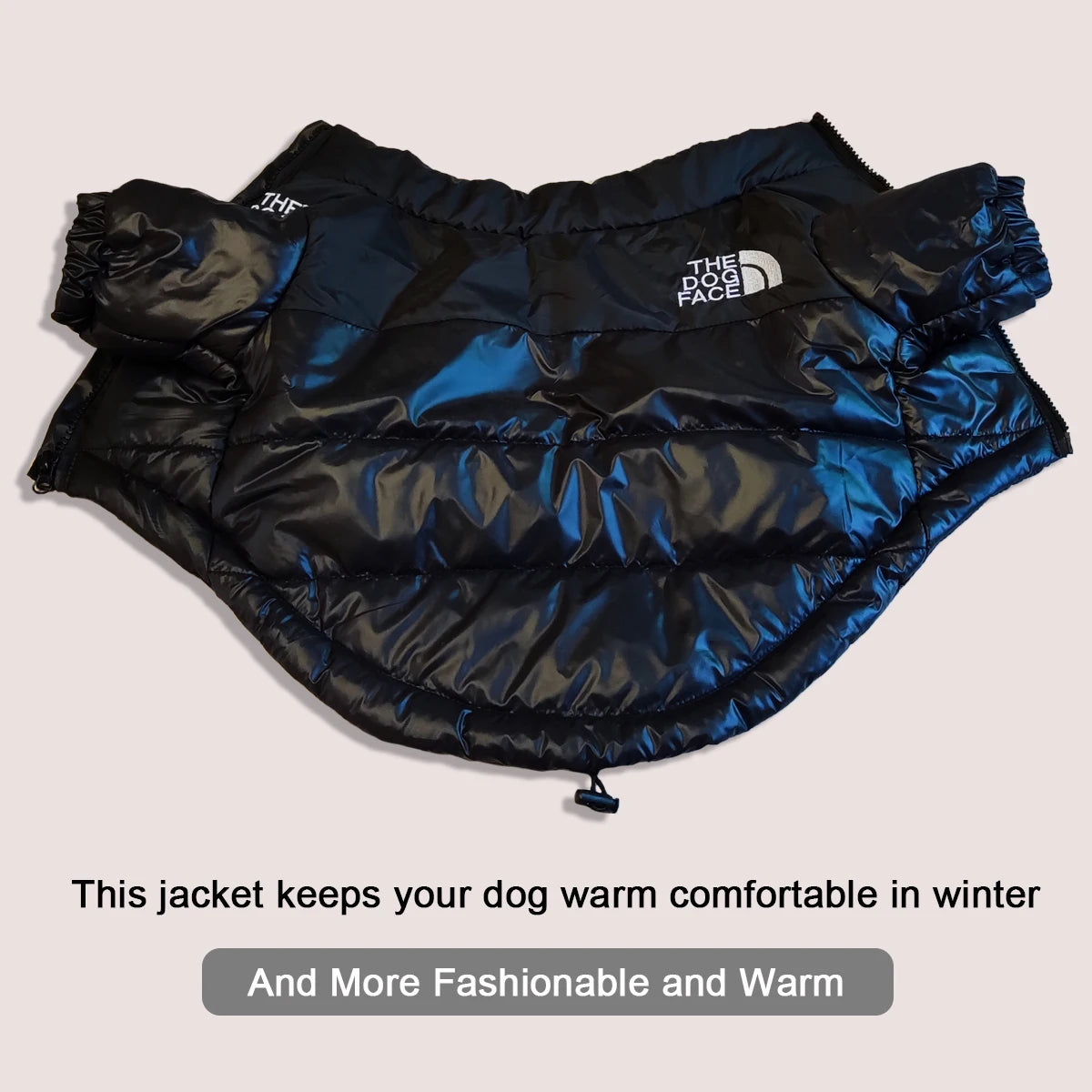 Windproof Pet Jacket