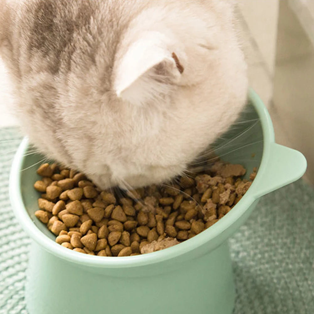 Elevated And Tilted Cat Food Bowl