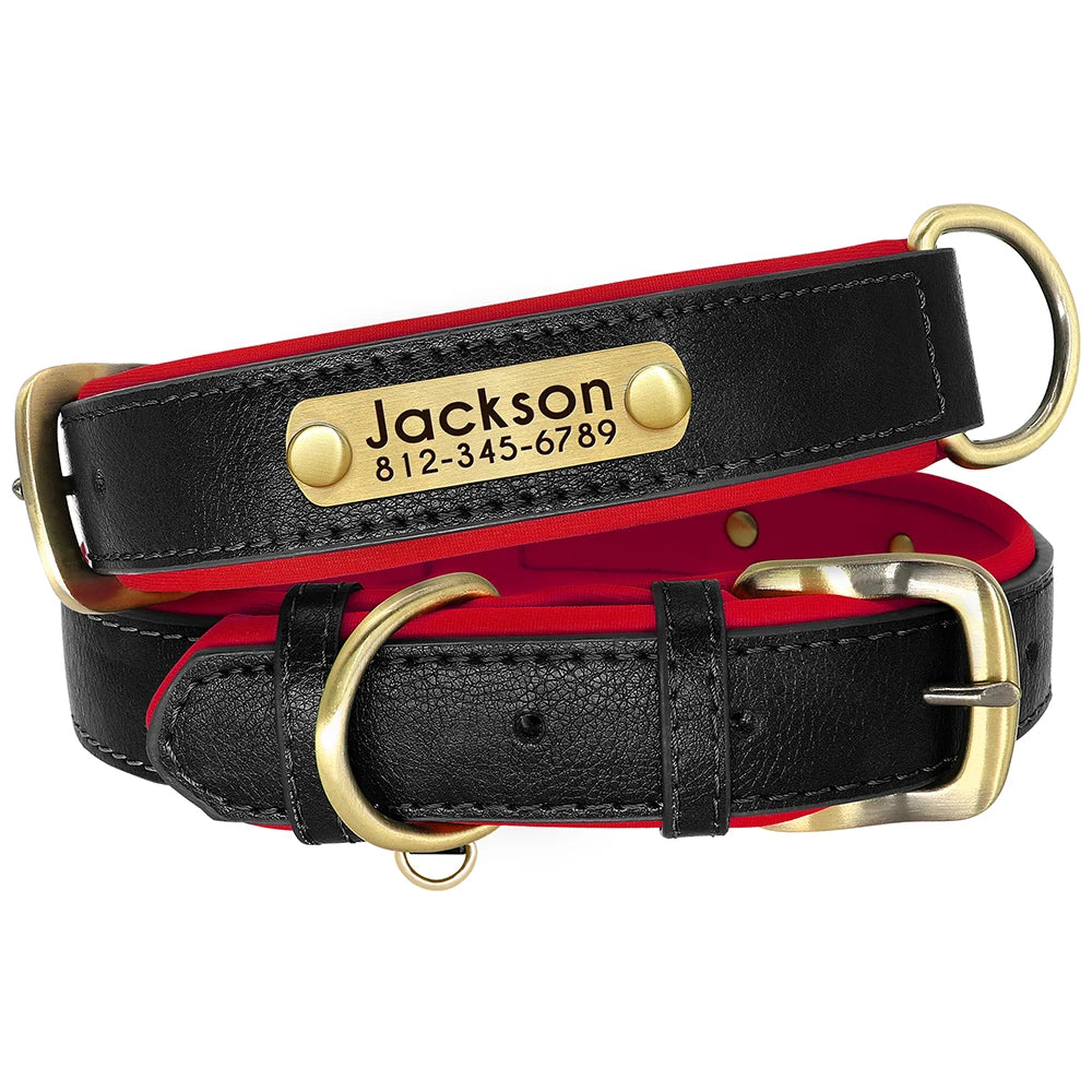 Personalized Leather Dog Collar