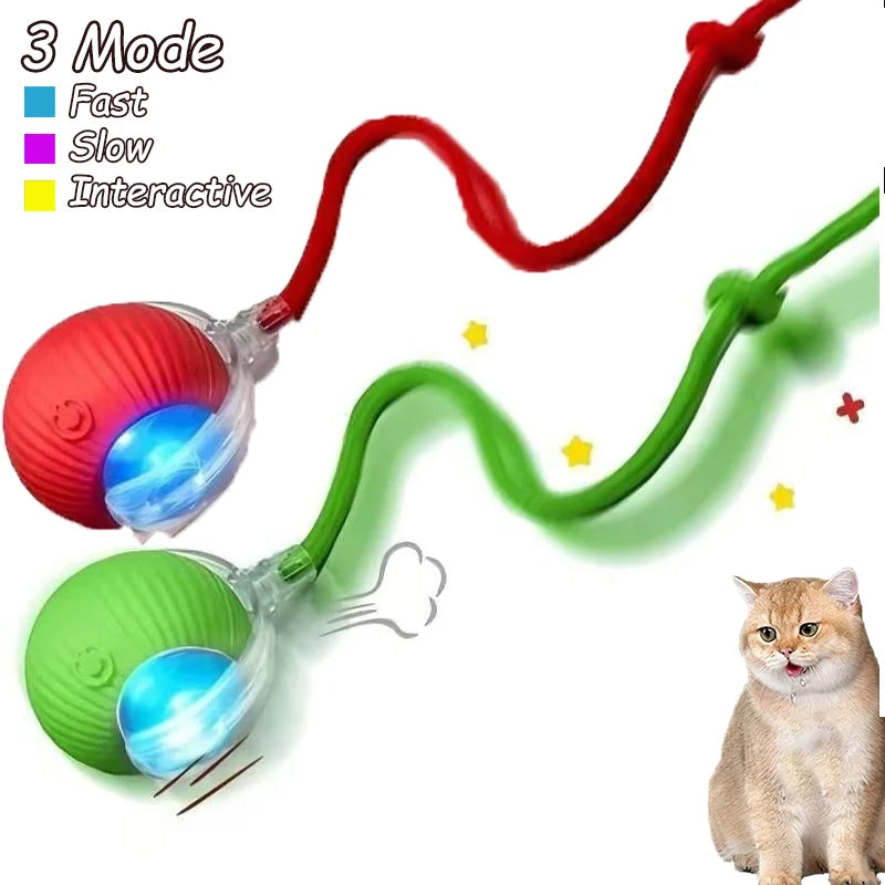 2Pcs Automatic & Rechargeable Cat Toy