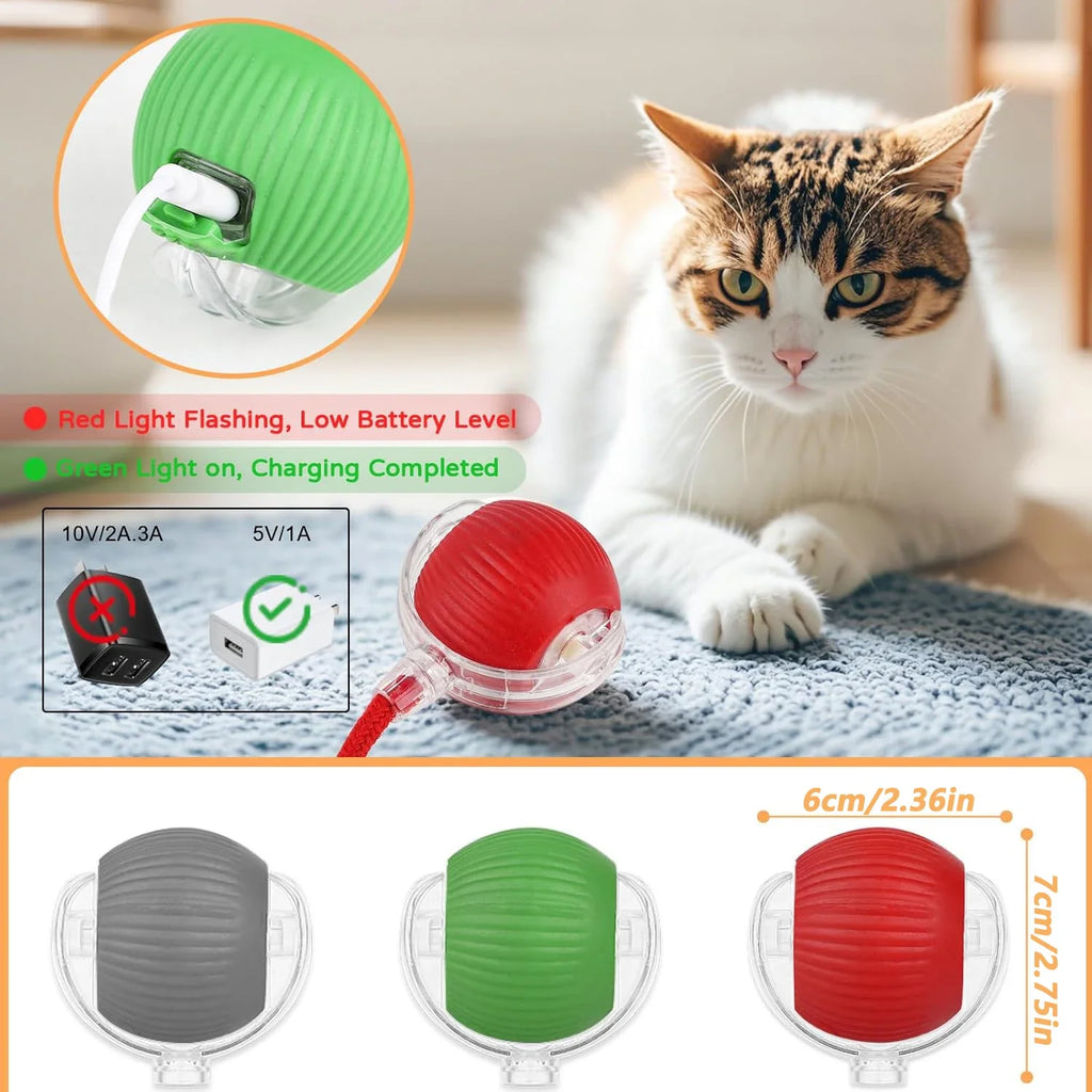 Interactive Ball Toy