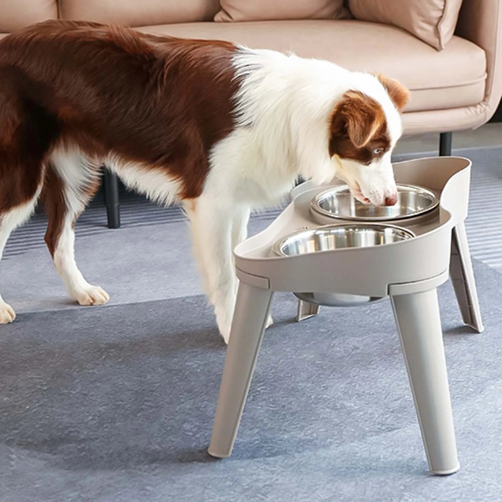 Elevated Pet Feeder