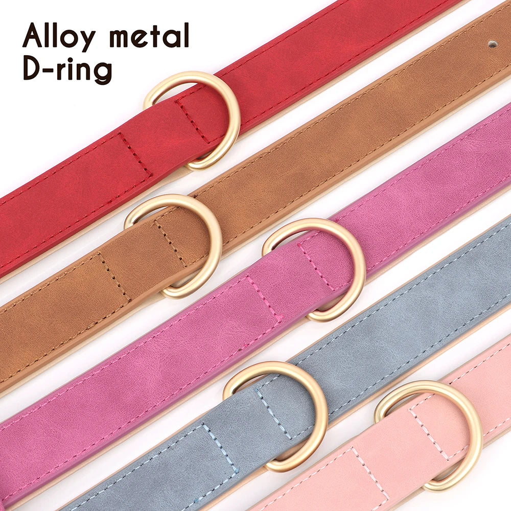 Dog Collar And Leash Set