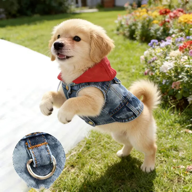 Cool Dog Jean Jacket Vest with D-Ring Hoodies