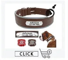 Custom Personalized Dog Collars