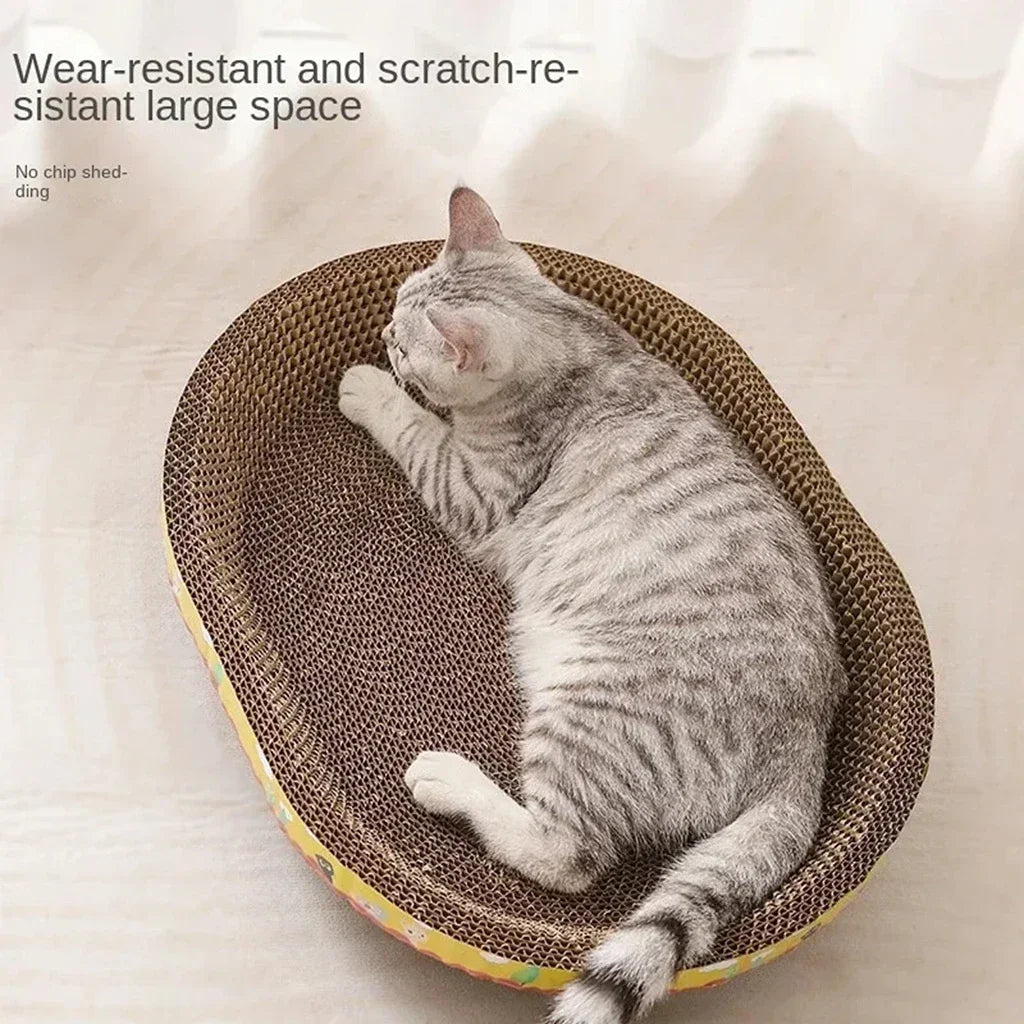 Cat Scratching Furniture Bed