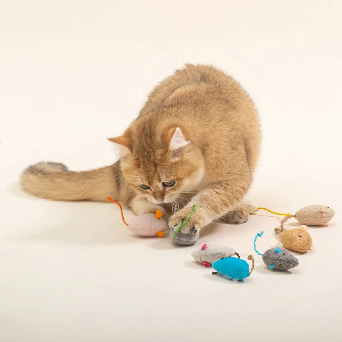 200 Pcs Rattle Mouse Cat Toys