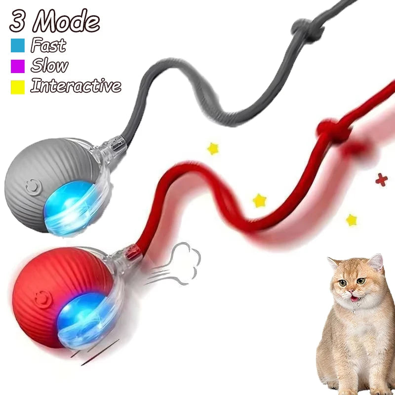 2Pcs Automatic & Rechargeable Cat Toy