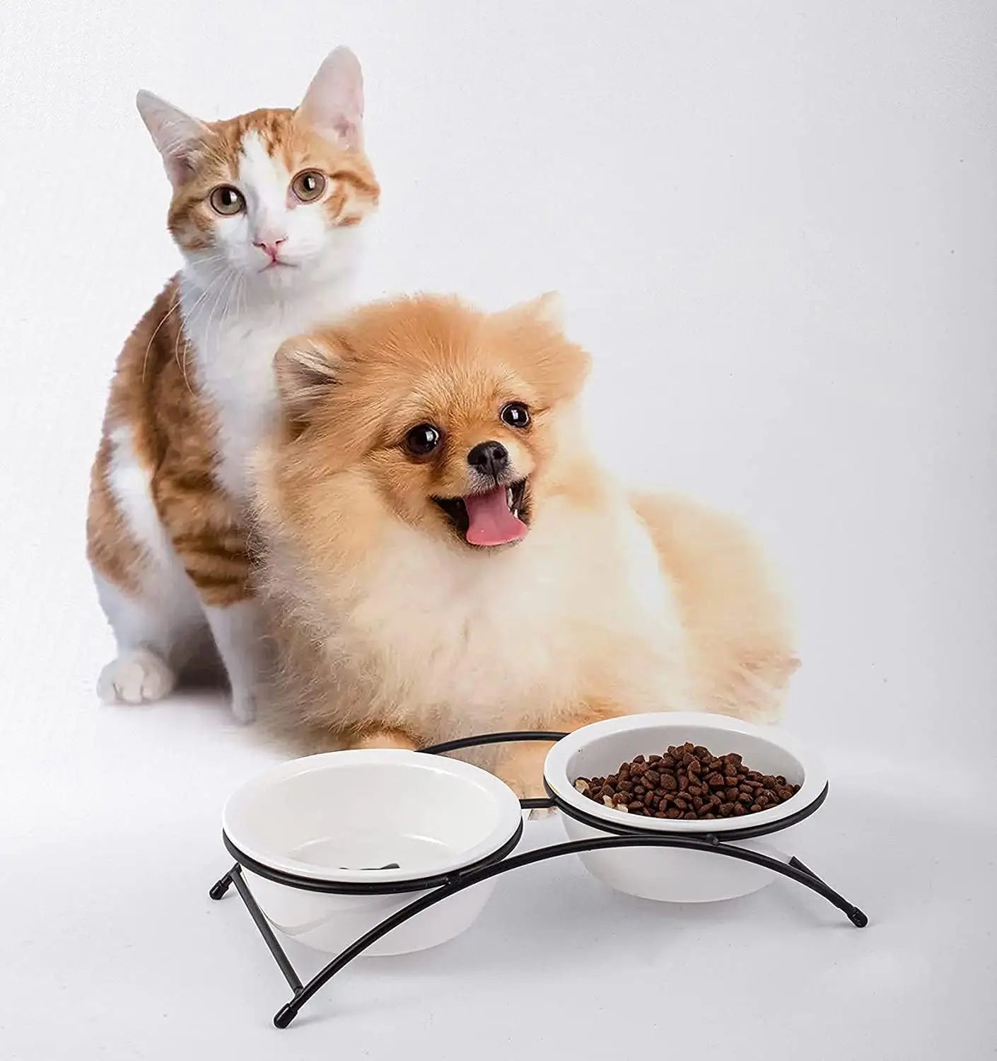 Ceramic Elevated Pet Bowls Set