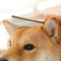 Stainless Steel Dog Comb