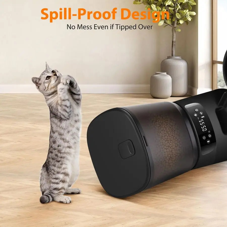 Cat Feeder For Two Cats