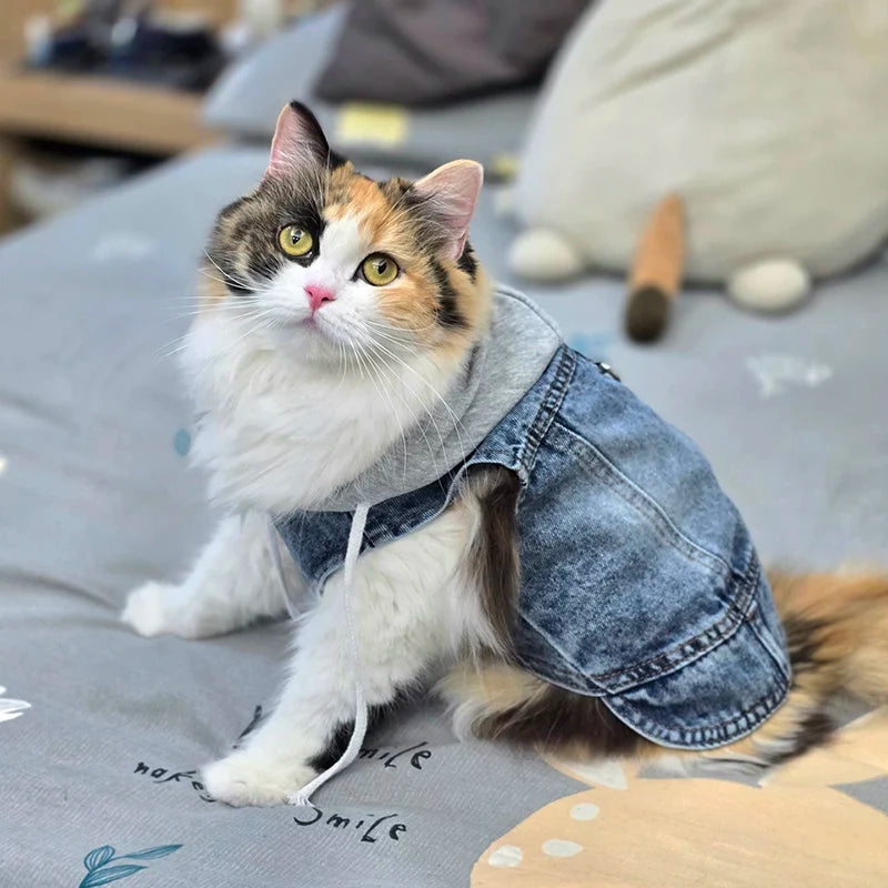 Cool Dog Jean Jacket Vest with D-Ring Hoodies