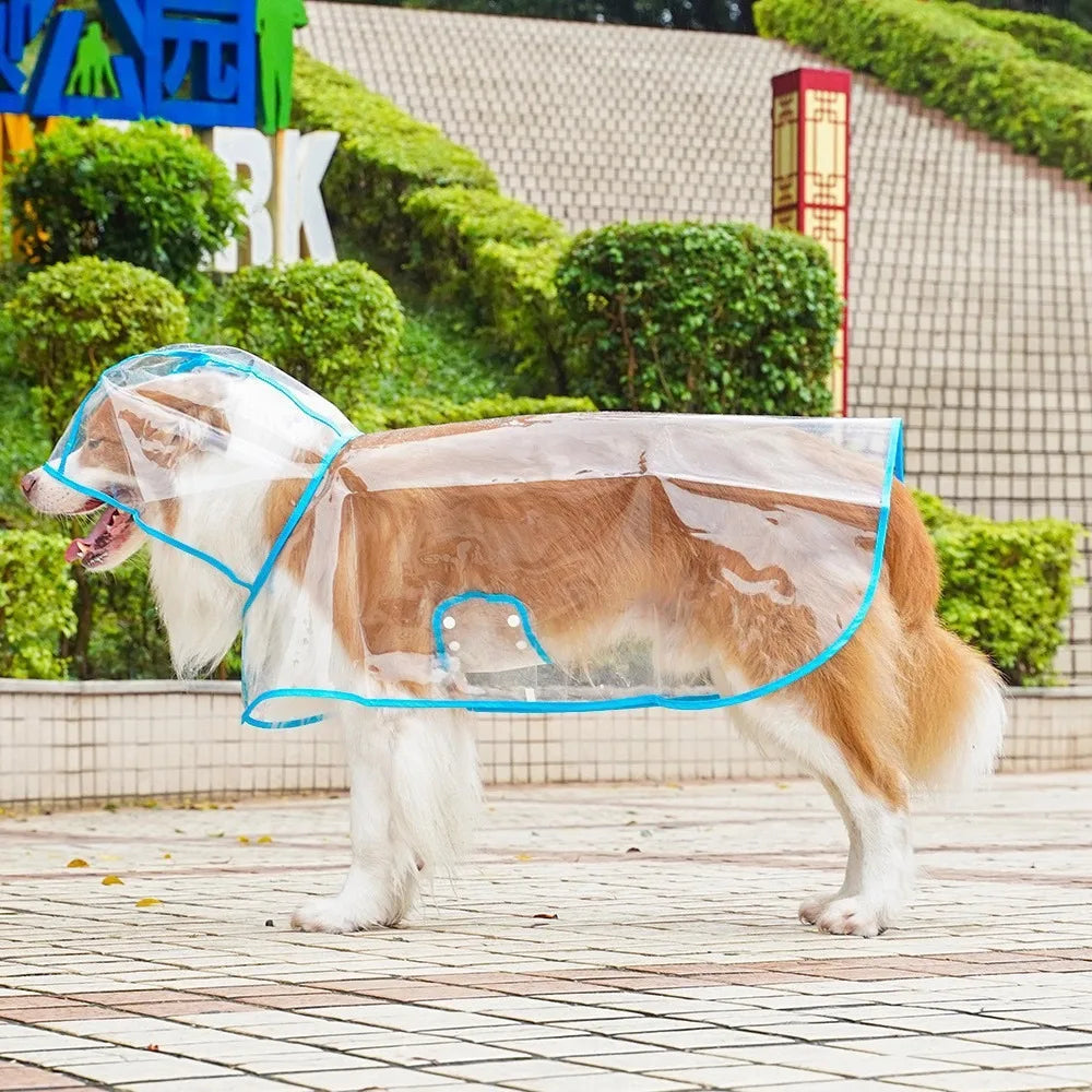 Transparent Raincoat With Hat