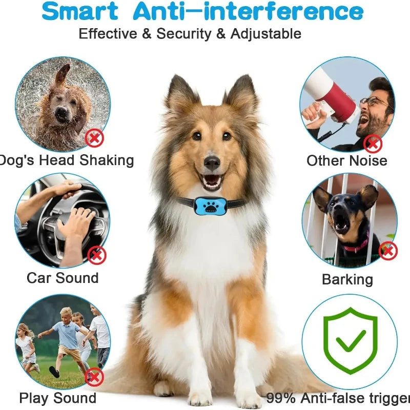 USB Rechargeable Dogs Training Collar And Anti Barking Device
